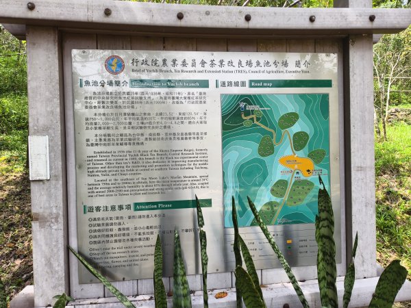 [百山百鳥尋旅-06/15] 2025_0830 貓囒山步道2875707