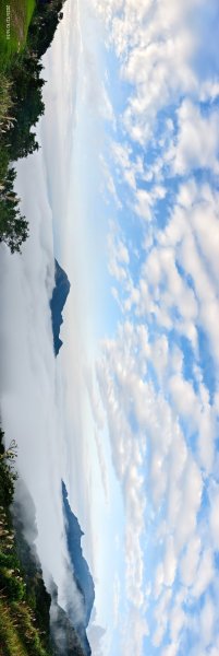 #樹梅坪 #金瓜石 12/102958906