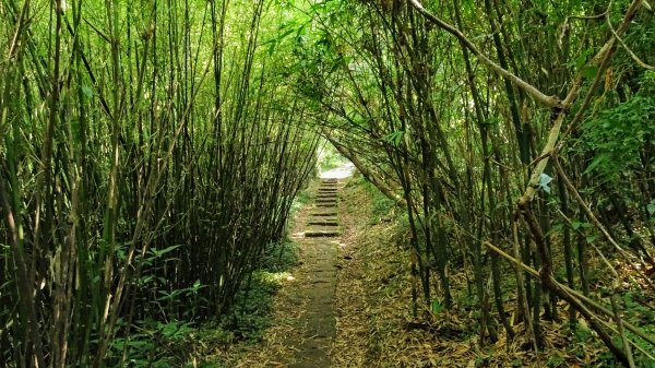 環七星山步道,百拉卡步道,清天宮1794858