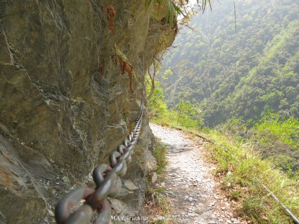 《南投》峽谷瀑布｜東埔八通關古道-雲龍瀑布201704162887731