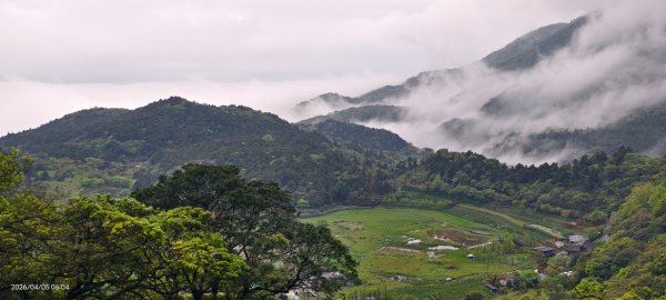 陽明山追雲趣 #天空之城 #石門嵩山梯田 #鳶尾花 #老梅綠石槽 4/5-63030187