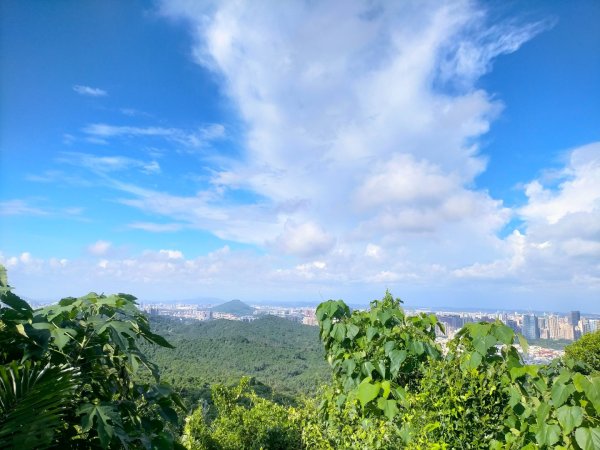 柴山/半屏山2858147