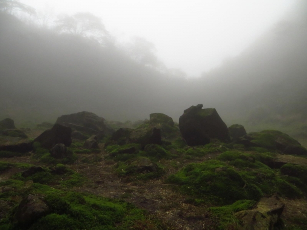 雲霧中遊走七星山之美33421