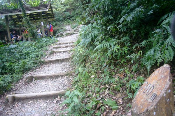 礁溪五峰旗瀑布聖母山莊步道297902