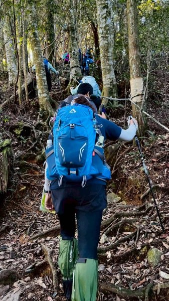 🌈9/21（日）屋東縱走（大雪山進-谷關大道院出）✨FB：熊熊趴爬走 🌈2892507