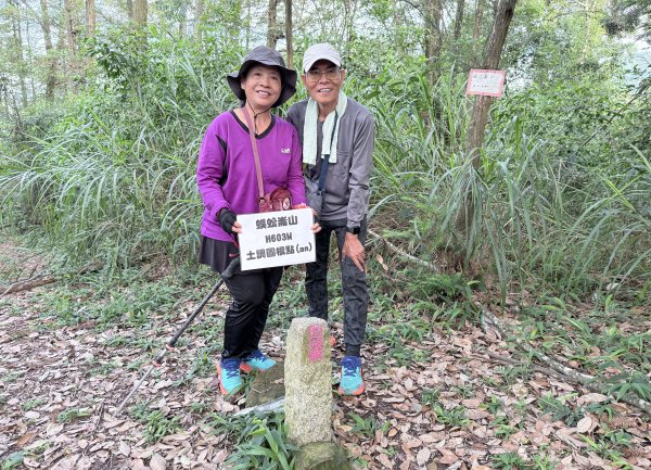 埔里登蜈蚣崙山、板仔寮山 2025.6.182815483