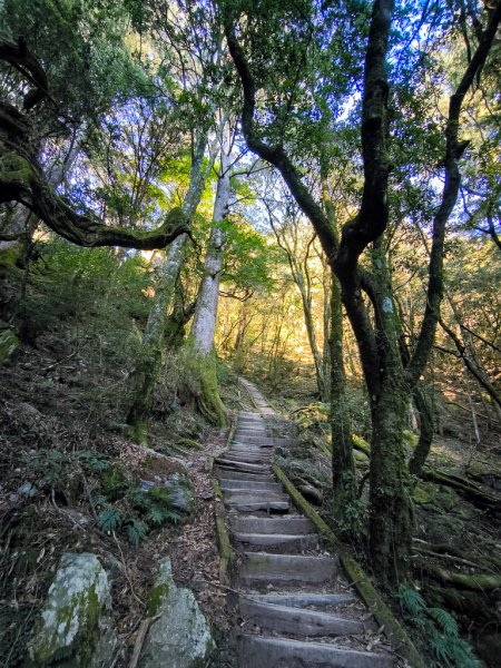 2026-02-09 庫哈諾辛山2998836