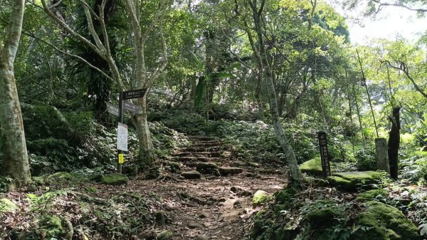 20251004 馬那邦山 - 珠湖 登山口2904940