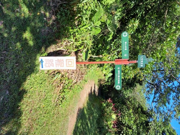 宜蘭七星嶺，松羅，見晴懷古步道3136196