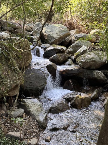 【宜蘭】草嶺古道2671446