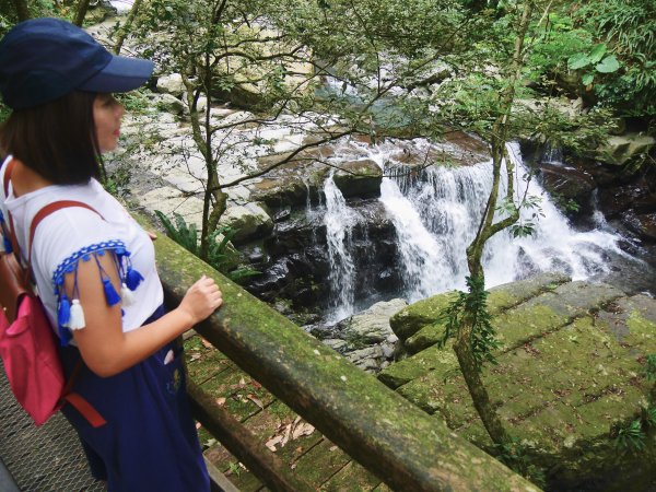 三峽滿月圓國家森林步道1053631