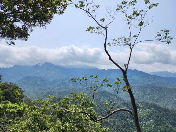 小百岳No.25⛰石牛山2478567