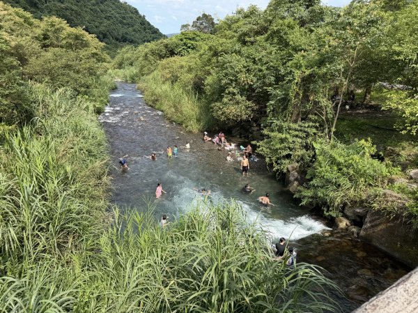 九寮溪步道(戈霸瀑布)2026.06.193079266