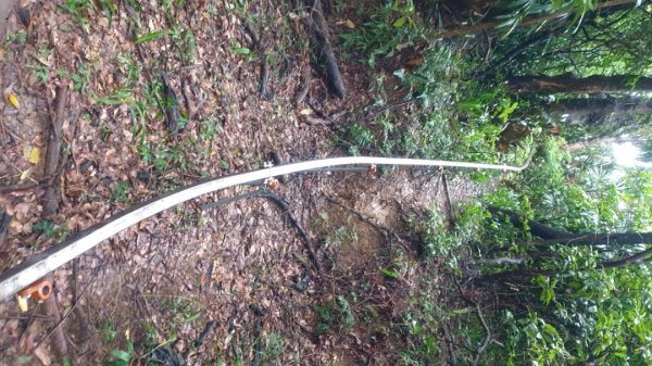 收集小百岳-劍潭山1439708