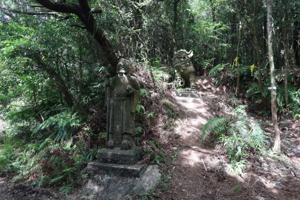 【臺北大縱走4】風櫃口 至 捷運大湖公園1259230