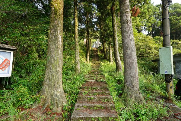 新北 雙溪 溪尾寮山、東柑腳山、柑腳山2581781