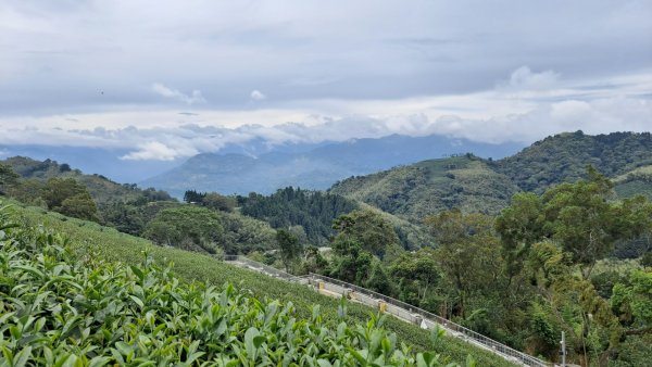 20240523嘉義梅山梨子腳山-太平老街-太平雲梯吊橋2511296