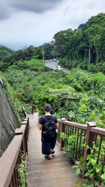 《彰化》玉蘭花香｜赤水崎公園步道及松柏坑山202308062241229