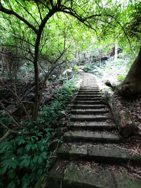 20230722 頂山石梯嶺縱走坪頂古圳，聖人瀑布2227234