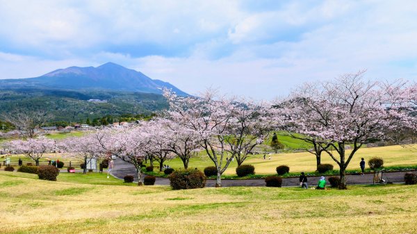 鹿兒島高千穗牧場3028177