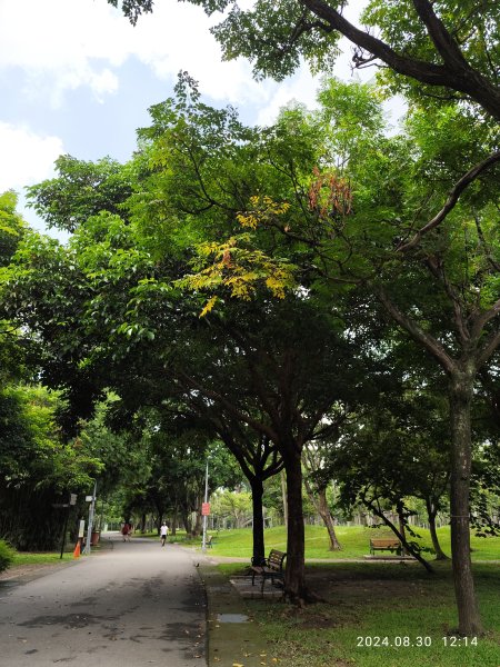 大安森林公園、大港墘公園【走路趣尋寶】【臺北健走趣】2584915