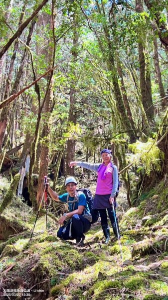 大同加羅湖穆魯洛亞滬庫霞四季警備道2748291