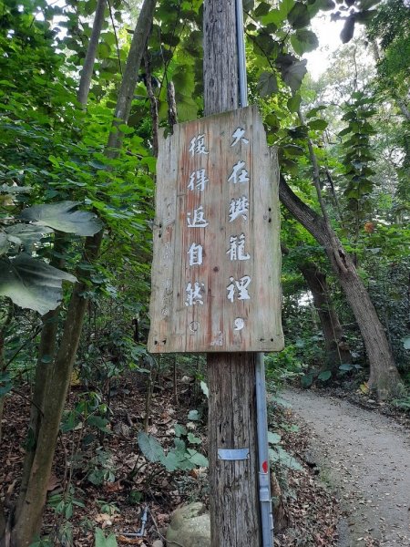 《彰化》田中森林登山步道O型202011221179689
