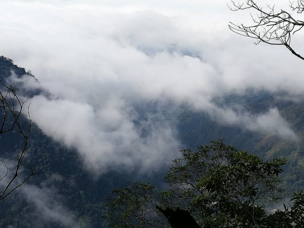 ~ 鳥嘴山登山步道(上島山) ~807799