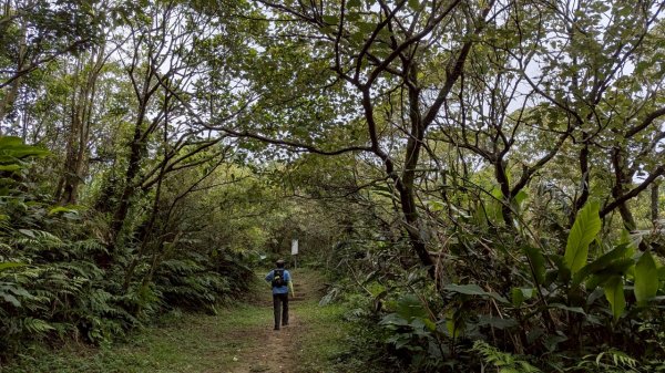 114.06.07過港山-四腳亭砲台-深澳坑砲台山之旅2806582