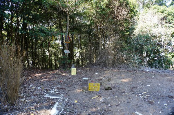 新竹 五峰 鳥嘴山、大窩山2956870