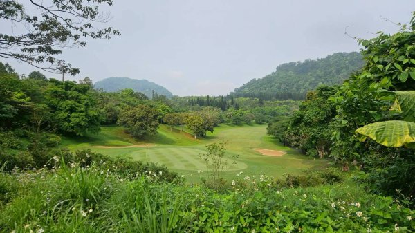 20260417白石下山-金山西峰-蕩跋山-劉家界山-老社寮山-新富山O行3041766