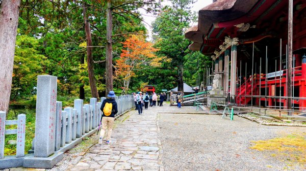 山形縣羽黑山神社2929688