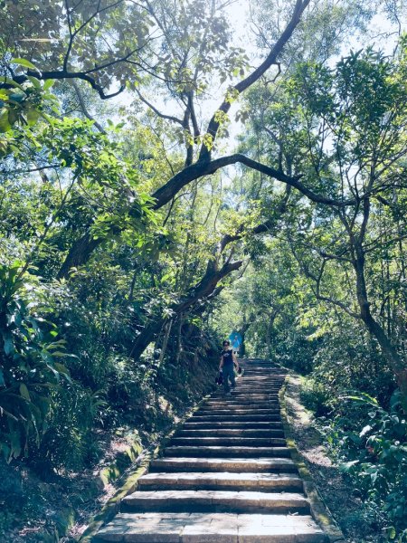 20250928 九五峰-拇指山-象山2903909