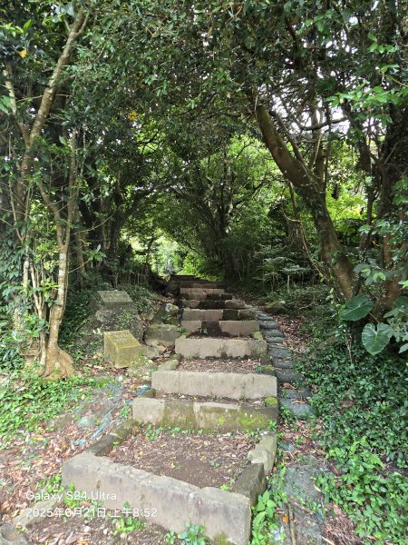 2025-06-21臺北大縱走第二段：二子坪至小油坑2821035