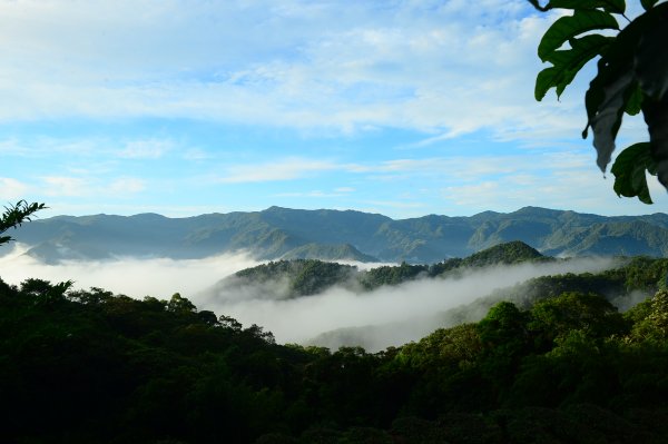 坪林南山寺雲海992913