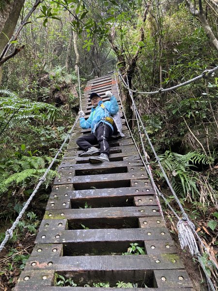 尋覓雨霧中的獅子|獅仔頭山|Mt.Shizaitou|隘勇線|峯花雪月2384989