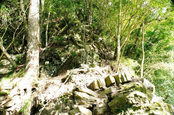 苗栗 泰安 虎山3118673