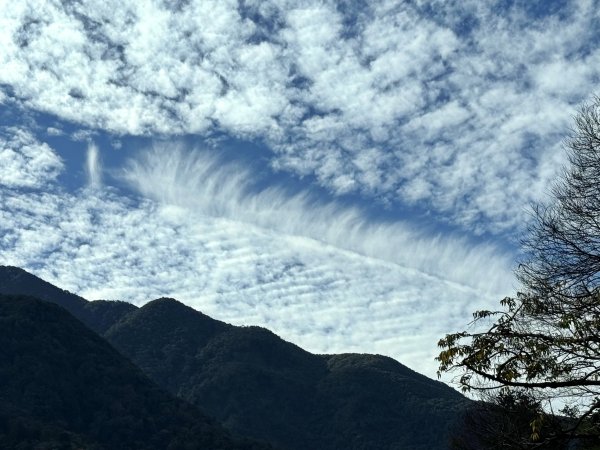 屋東縱走 202503012728982