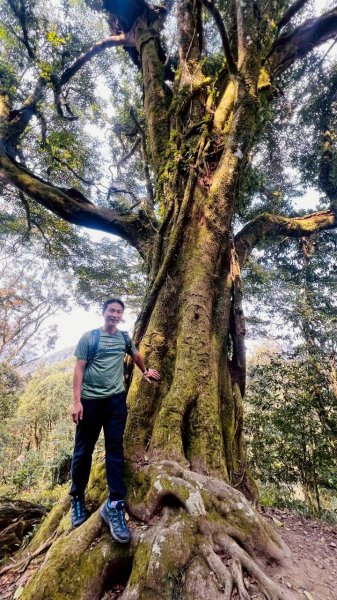 🌈3/21（六）頂湖上大凍山下奮起湖老街✨FB：熊熊趴爬走🌈3020181