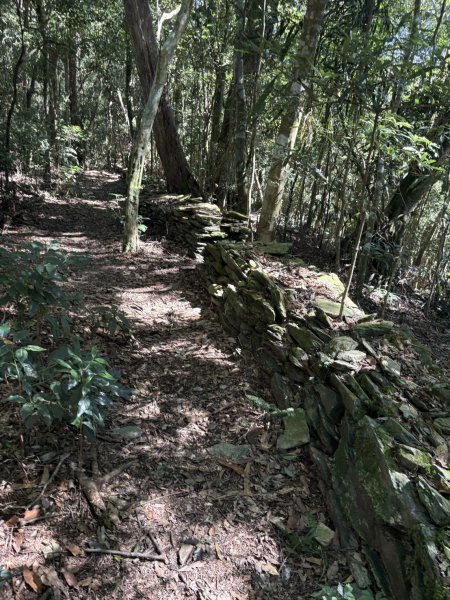 20251116鳴海山、網子山登山步道2938439