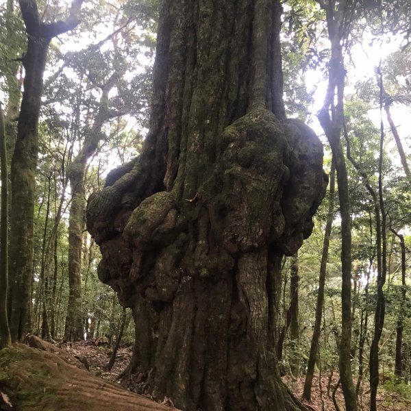 埔里六秀、中部四大名山:守城大山         隊名:鯛魚燒埔里訓練1506109