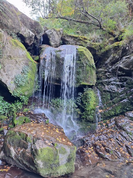 石山引水道20251211