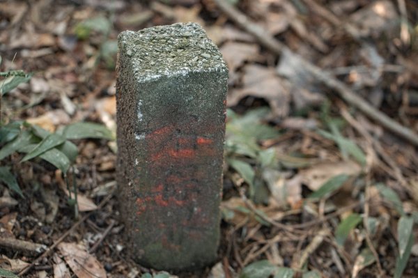 枕頭山古砲台歷史古道O型（含薑母島）2948472