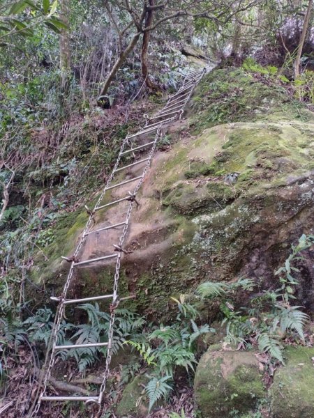 微笑山⛰️線-大棟-二格山-五分山-天上山-鳶山💎12條步道完成💙2834190