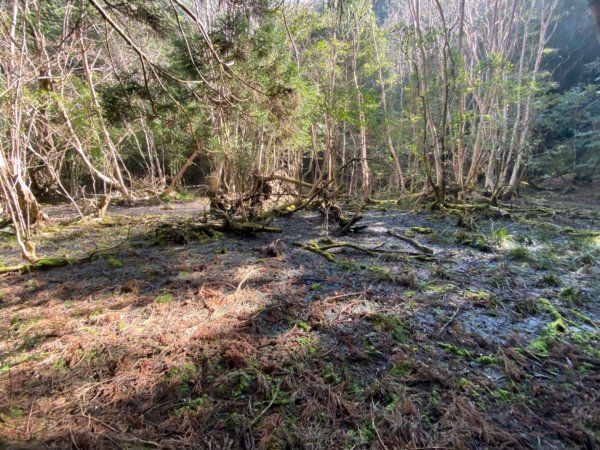 南庄加里山林業遺跡忘雨巖2026043