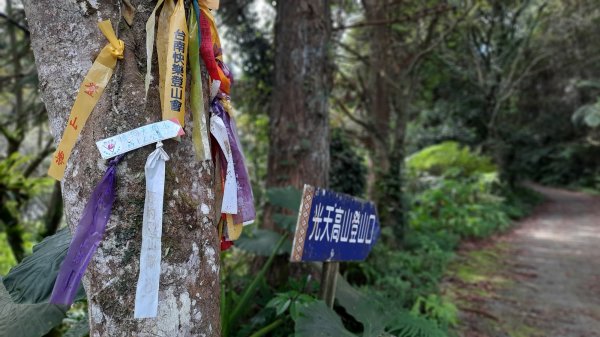 《苗栗》山中水晶蘭｜南庄向天湖山三連峰O型202203131639731