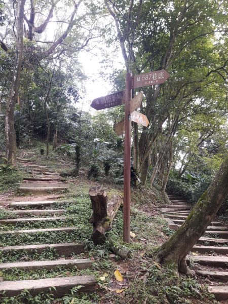 《從郊山到越野》341512