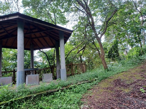 【台中霧峰】低海拔生態林相悠美。 奧山步道、桐林花廊步道、樟樹林步道、北坑溪步道O繞2570481