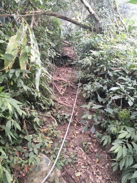 2019 10 29 三腳南山登山步道717767