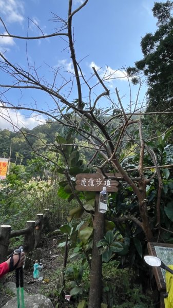 宜蘭_望龍三山&北后寺2984004